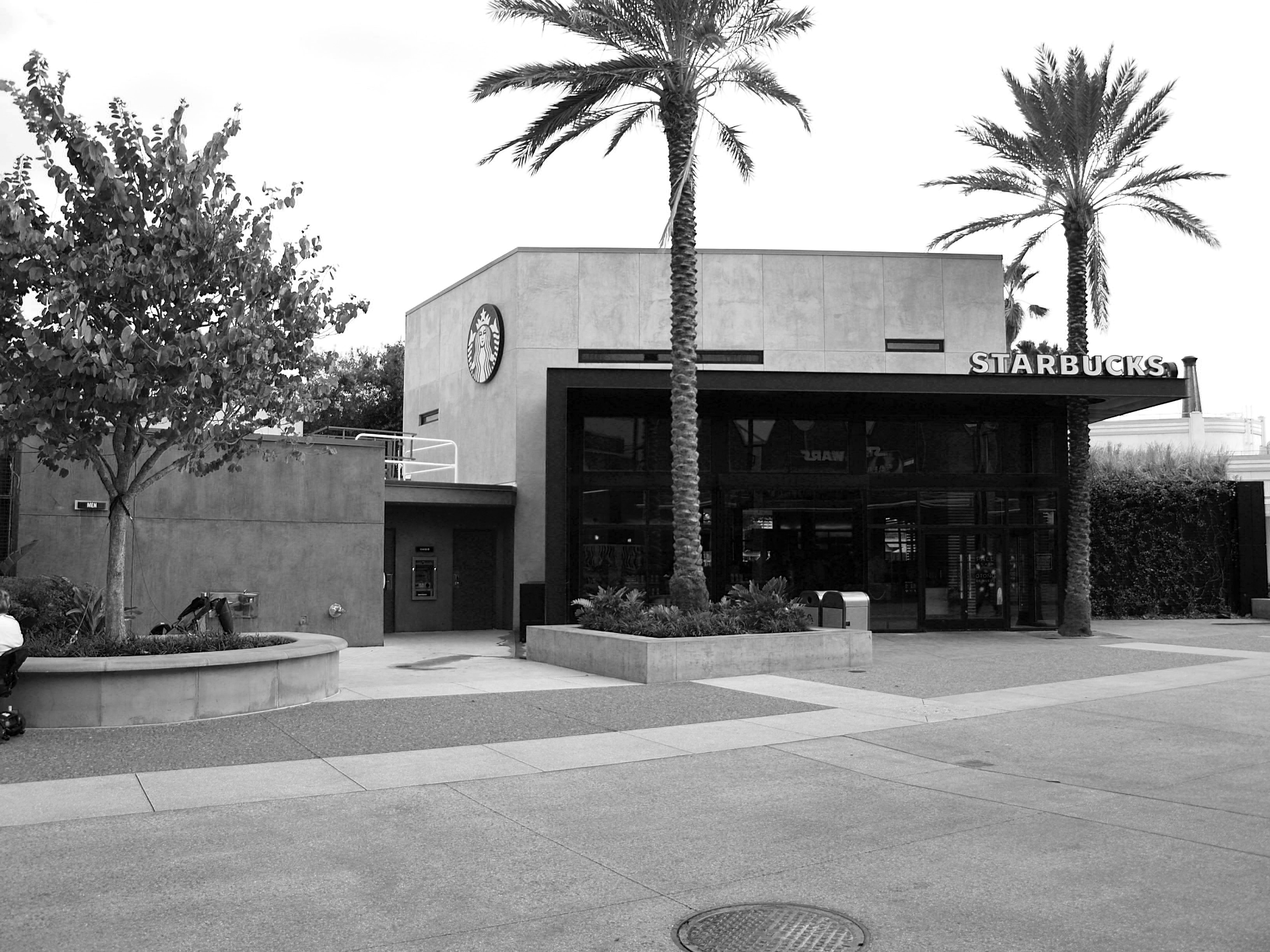Starbucks Landscape